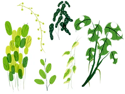 Plants animation design graphic design illustration plants procreate