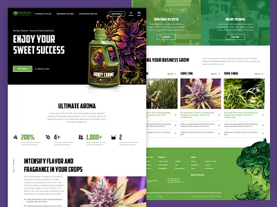 Emerald Harvest - Interior Pages design illustration layout typography website