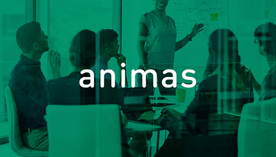 Animas | Brand Refresh art direction branding logo design