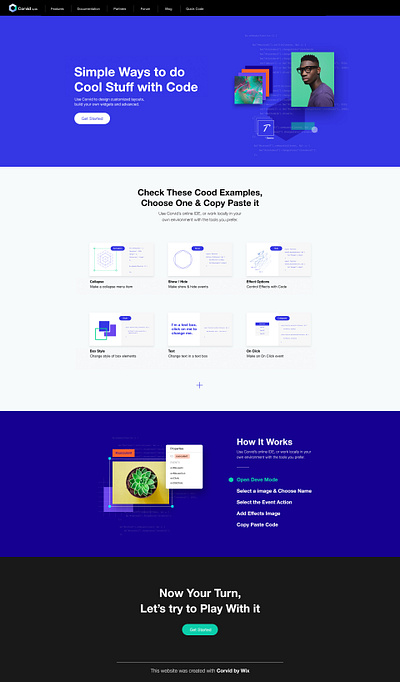 Designer for Corvid by Wix branding code designer landing page navot