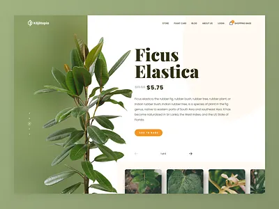 Design Daily #002 - Product Page design ecommerce figma landing page minimalist monstera nature ui ux website