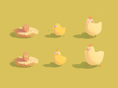 Chicken Growth Stages chick chicken design farm farmland grass growth hen illustration light mill pasture photoshop radesign sunset tesorina 马阿柴