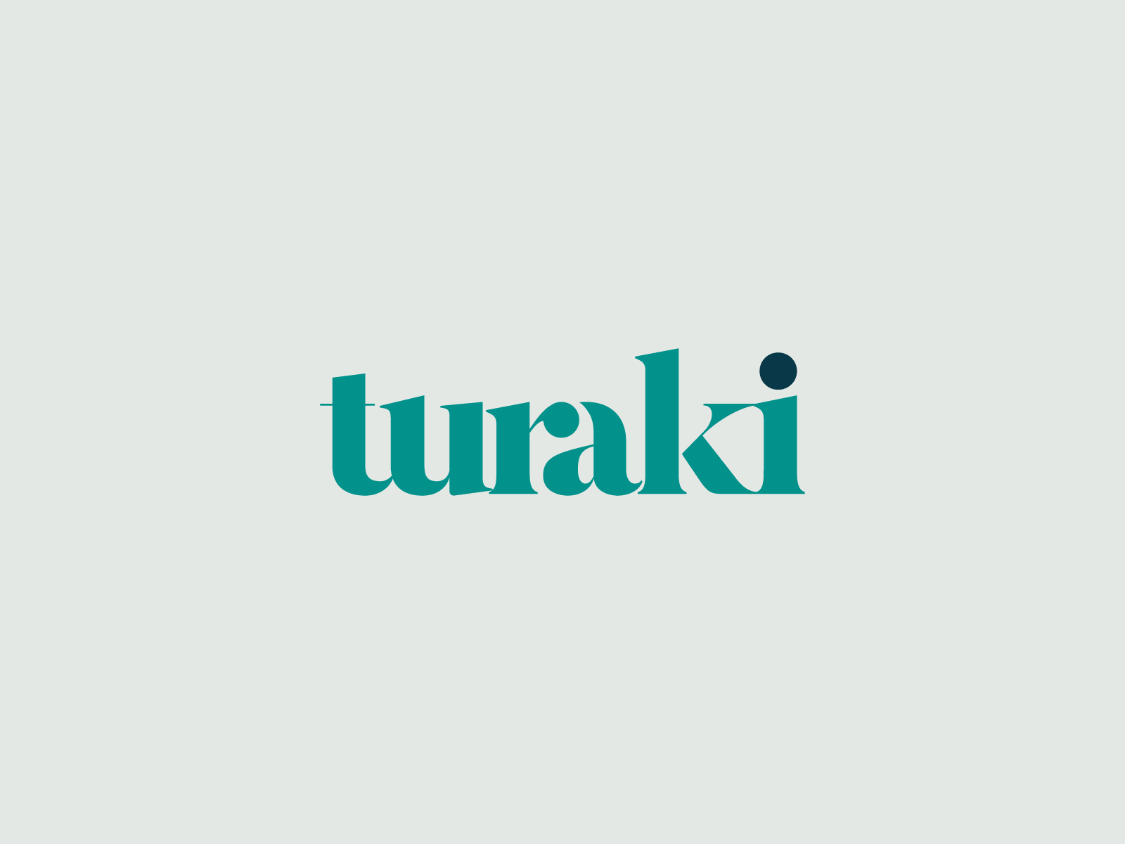 Turaki Logo branding design illustration logo