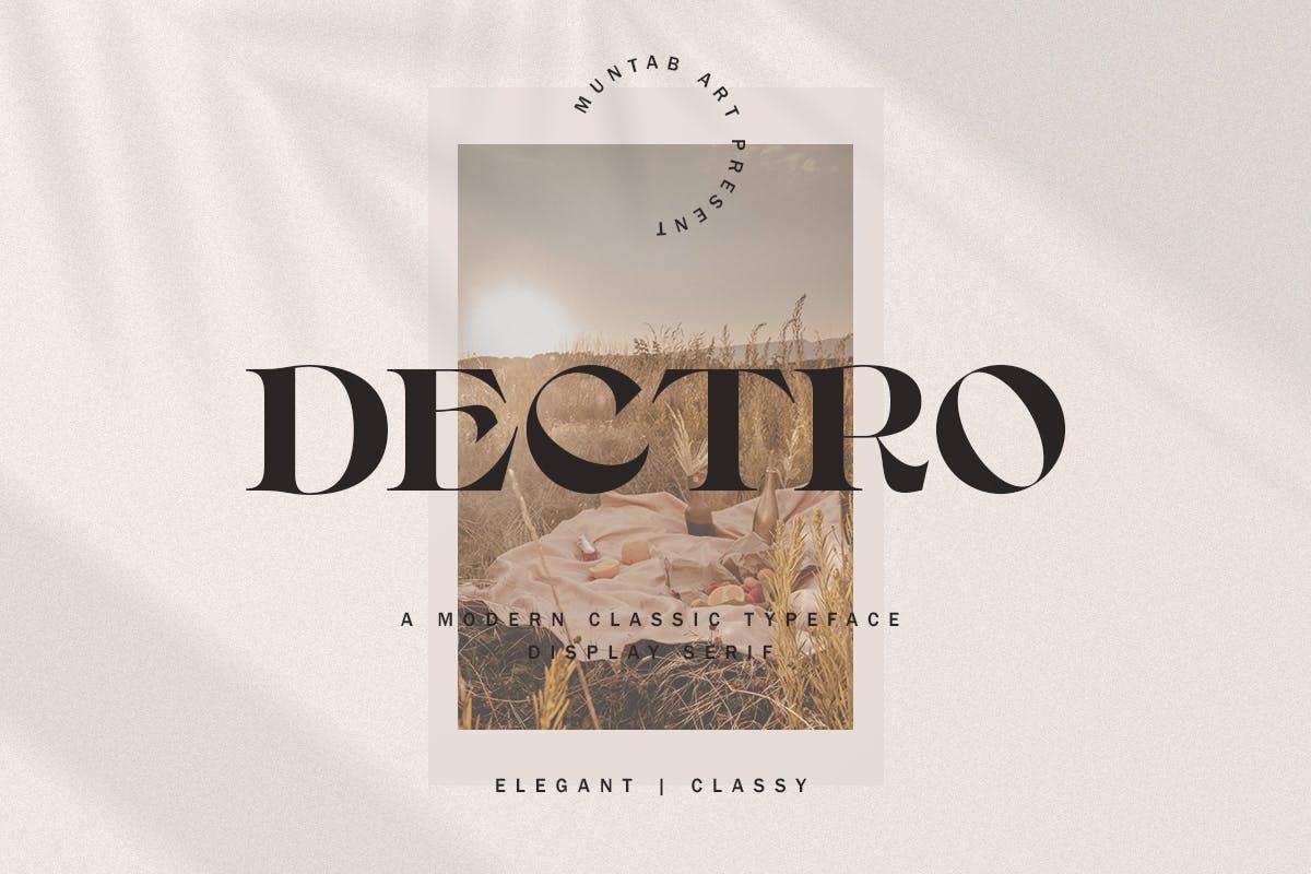 Dectro - Serif Display Font app branding design display display font font graphic design illustration logo serif typography ui ux vector