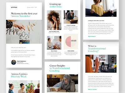 Animas Newsletter Template | UI Design art direction digital design ui design visual design