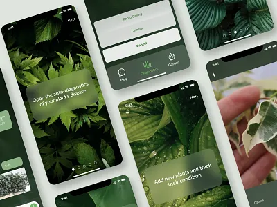 Diagnosis of plant diseases pt.2🍃 app design figma photoshop ui ux