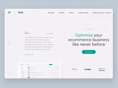 SaaS E-Commerce Marketing Website