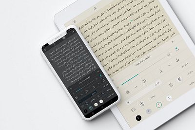 e-Book Reader Setting app design e book epub reader ui uidesign ux