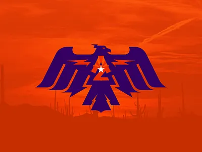 Arizona Thunderbirds branding design iaafproject logo nafaproject sportsbranding