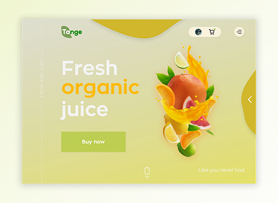 Organic juice website design fruit juice online ui website