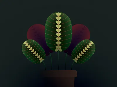 Calathea calathea design drawing foliage gradients graphic illustration plant care plants pot plant retro vector