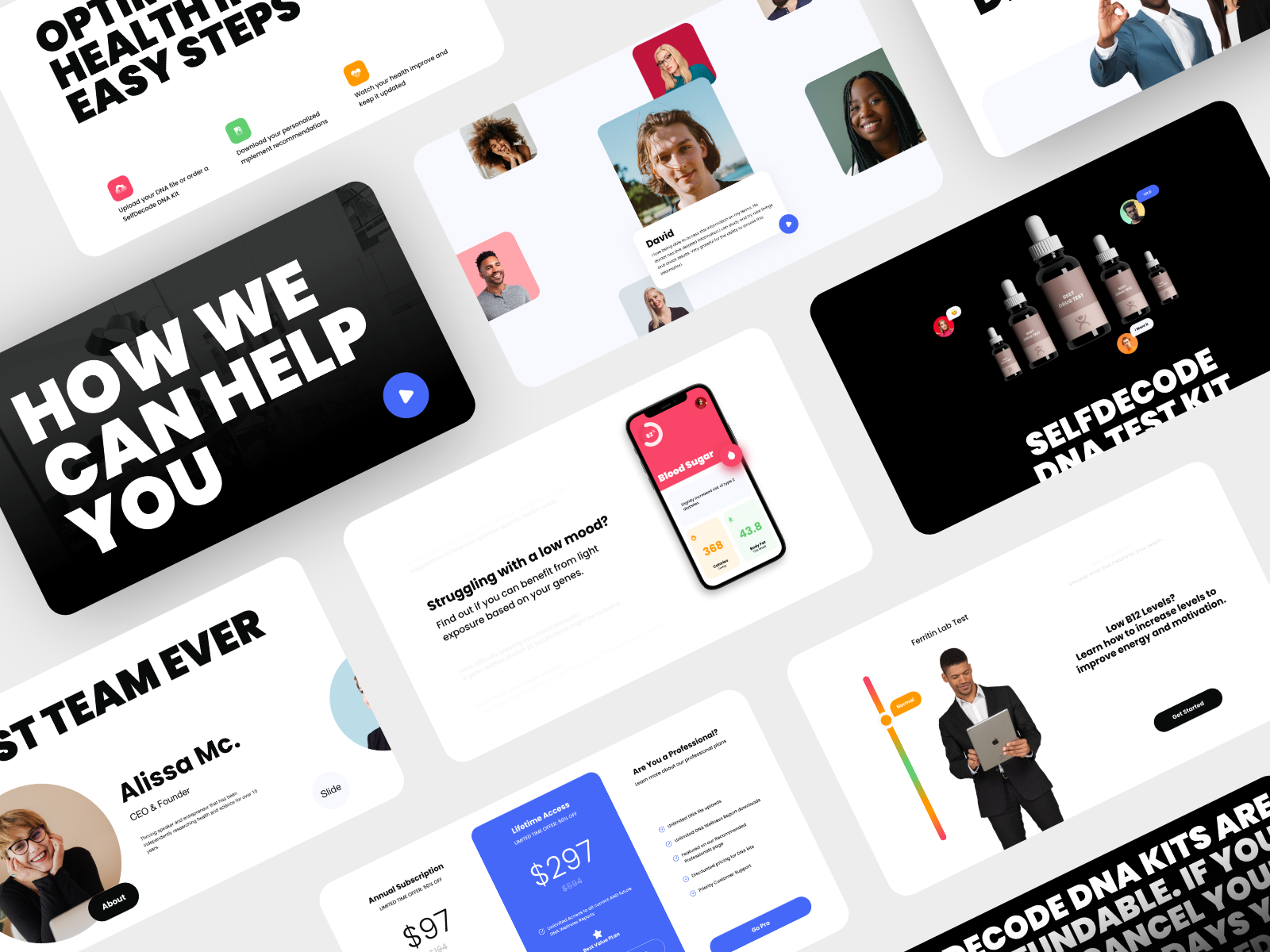Example of SelfDecode Landing Page Proposal