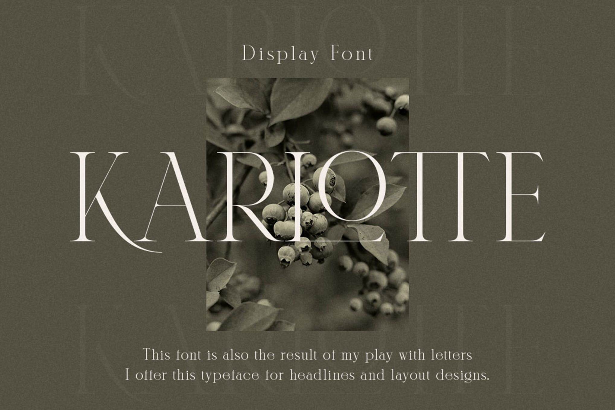 Karlotte Display Font app branding design display display font font fonts graphic design illustration logo typography ui ux vector