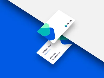 Netsoft Business Card Design branding logo