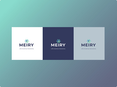 Meiry Solutions INC. Branding [Copyrighted] branding california design figma logo logodesign product