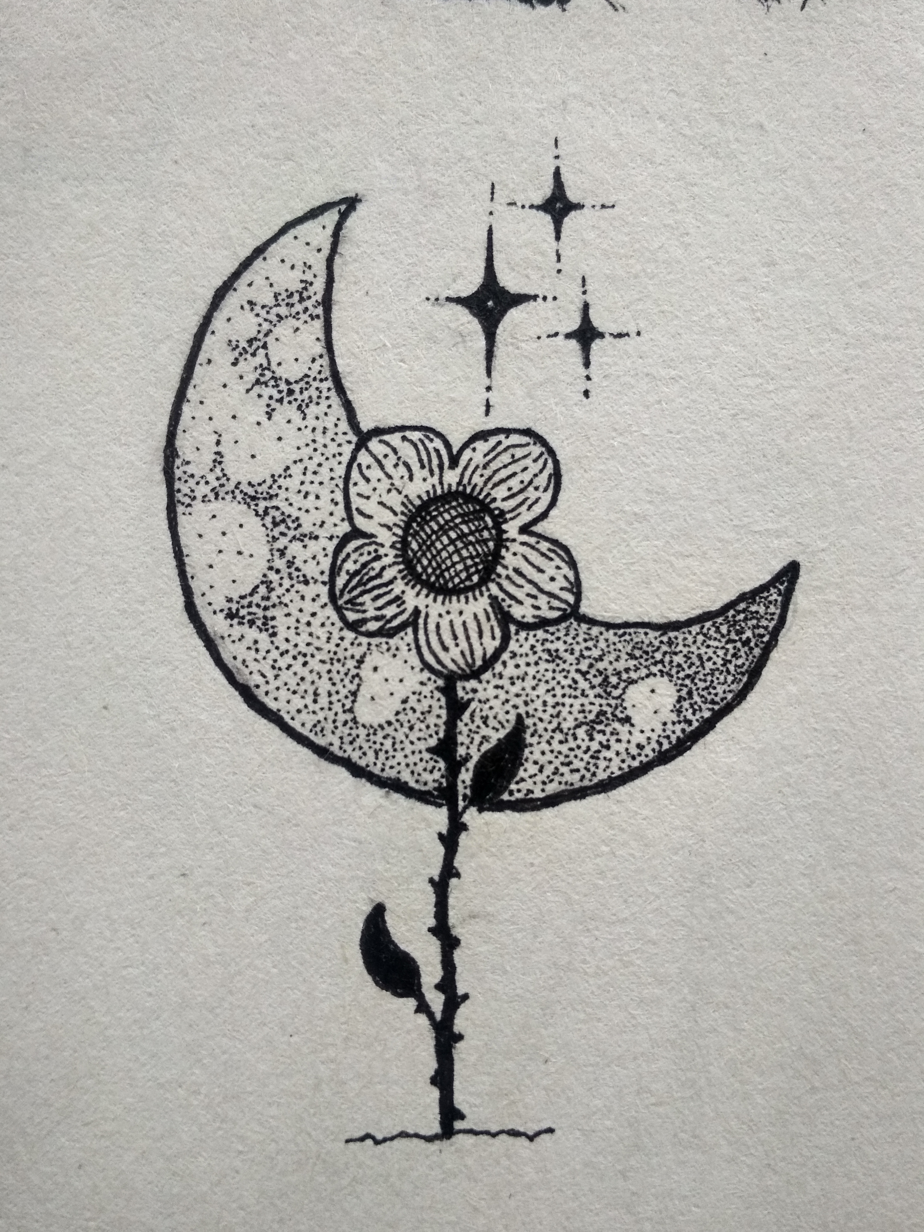 Example of Hand Drawn Ink Illustration