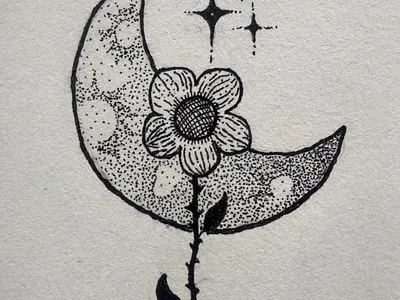 Moonflower artwork crosshatch design drawing flower hand drawn icon illustration ink logo minimalist sketch sketchbook sketching tatto tatto design vector