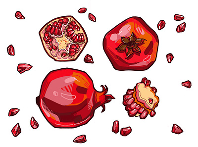 Pomegranates art artdesign artwork branding design digital art digital painting illustration sketching ui