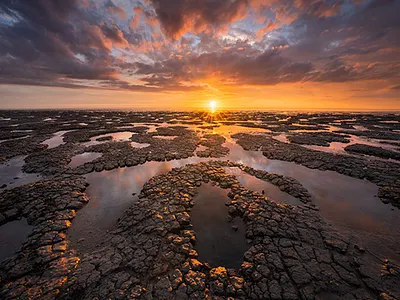 Textures of the Dutch Coast the netherlands