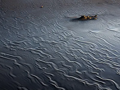 Black Desert abstract