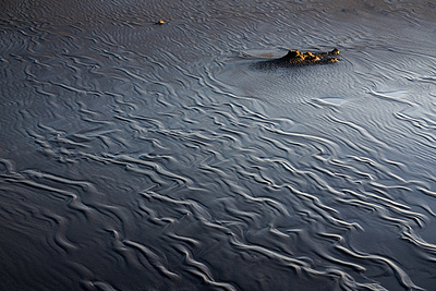 Black Desert abstract