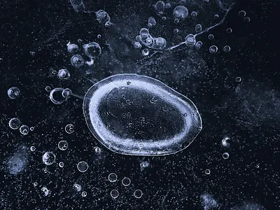 Organic Ice abstract