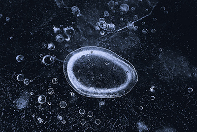 Organic Ice abstract