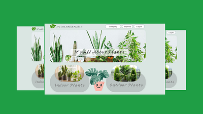 Blog Screen About House Plants