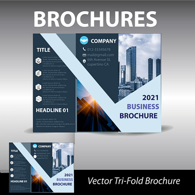 Business company brochures . branding design graphic design illustration logo design typography ui vector