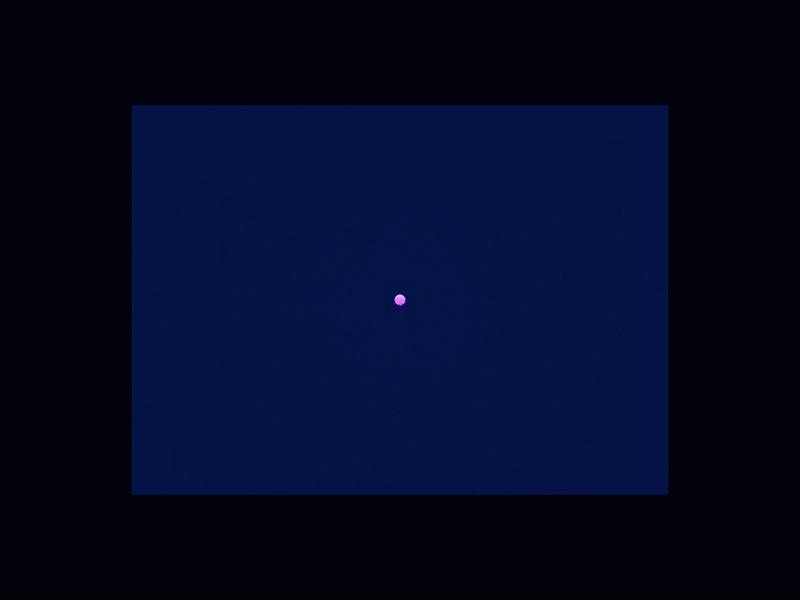 Playful Logo Reveal 3d animation app branding design graphic design icon illustration logo motion graphics typography ui ux vector