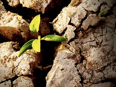 Never Give Up! graphic design poster