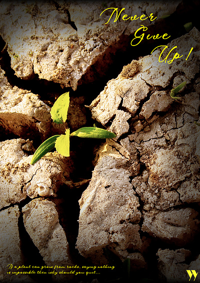 Never Give Up! graphic design poster