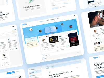 Trickle.app - Stop losing your insights app cards clean e learning education experts grid items home page learning minimal modern navigator platform reader table of contents ui ux uxui web web app