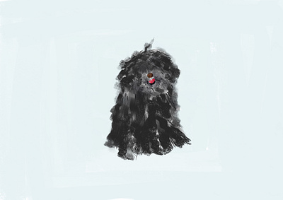 Puli dog animal crayon dog illustration