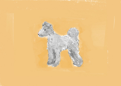 Pumi Dog animal crayon dog illustration