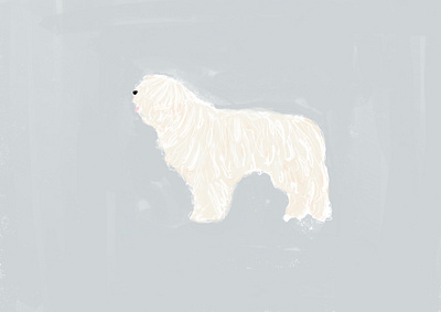 Komondor Dog animal crayon design dog illustration