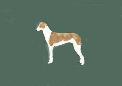 Magyar Agár Dog animal crayon design dog illustration