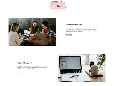 Study Buddy Website design ui ux
