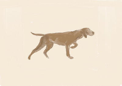 Drótszőrű magyar Vizsla Dog animal crayon design dog illustration