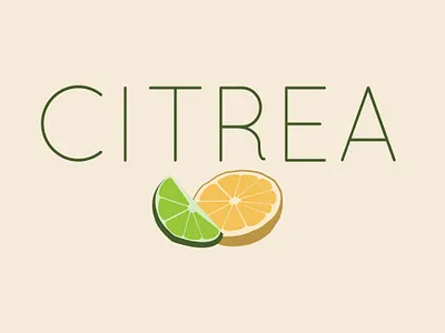 Logo Design branding design graphic design illustration logo typography
