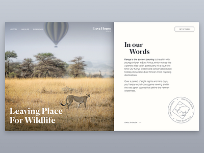 Kenya - Safari Travel Website africa concept kenya minimal safari travel travel agency travel app traveling ui uiux ux ux ui design webdesign website