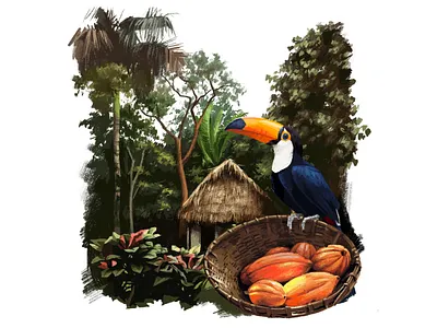 Toucan art cocoa colour colour pencils design illustration nature painting pencils picture sketch