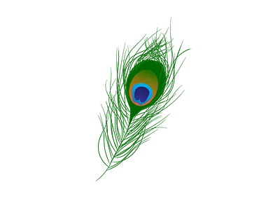 More Pankh <3 graphic design peacock