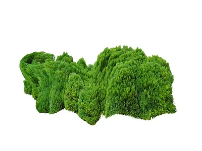 smell cool curage grass green illustration liquid look love pride rap right rock wave