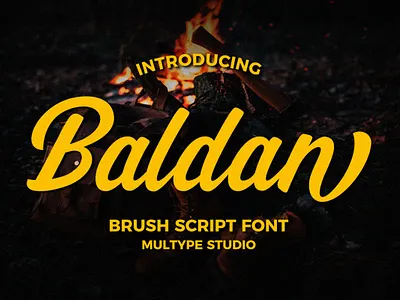 Baldan Brush Script Font brush font font fonts script font