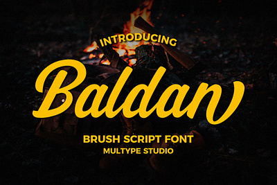 Baldan Brush Script Font brush font font fonts script font