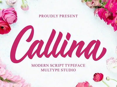 Callina Modern Script Font font fonts script font