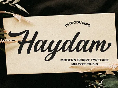 Haydam Modern Script Font font fonts modern font script font