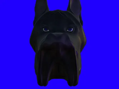 pet at your own risk 3d 3d artist character character design design designer dog graphic nomadsculpt procreate srilanka