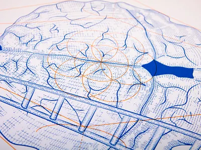 The Science of Superstition - Brain Illustration brain brain illustration brand identity branding etched illustration etching exhibition design graphic design hand drawn illustration illustration logo design medical illustration science science illustration superstition superstition design
